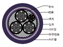 ZR-YJV22、ZR-VV22电力电缆厂家