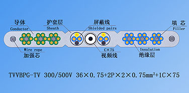 TVVBPG-TV 36*0.75+2P*2*0.75+1C*75扁电缆